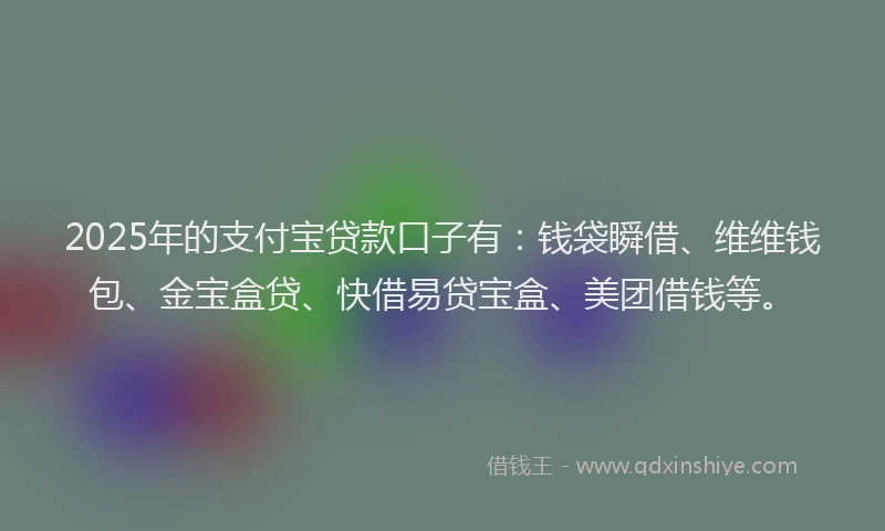 2025年的支付宝贷款口子有：钱袋瞬借、维维钱包、金宝盒贷、快借易贷宝盒、美团借钱等。