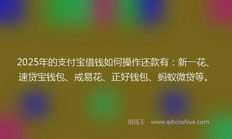 2025年的支付宝借钱如何操作还款有：新一花、速贷宝钱包、戒易花、正好钱包、蚂蚁微贷等。