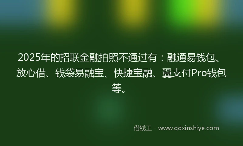 2025年的招联金融拍照不通过有：融通易钱包、放心借、钱袋易融宝、快捷宝融、翼支付Pro钱包等。