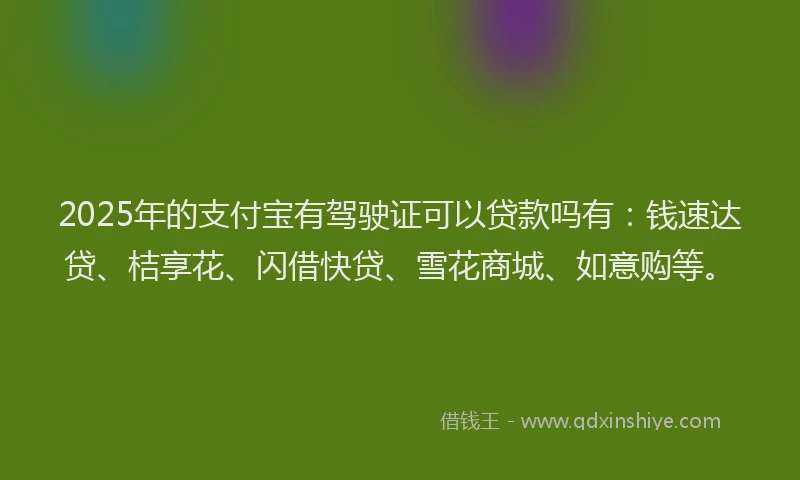2025年的支付宝有驾驶证可以贷款吗有：钱速达贷、桔享花、闪借快贷、雪花商城、如意购等。