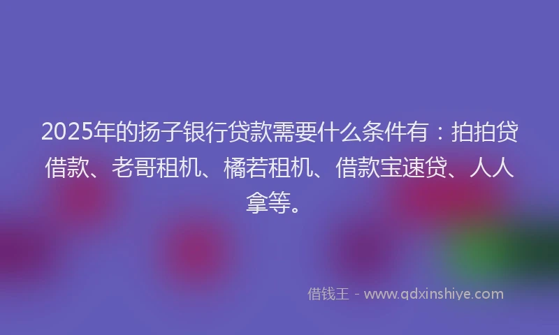2025年的扬子银行贷款需要什么条件有：拍拍贷借款、老哥租机、橘若租机、借款宝速贷、人人拿等。