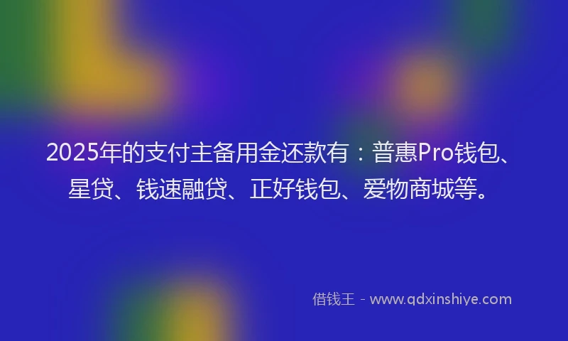 2025年的支付主备用金还款有：普惠Pro钱包、星贷、钱速融贷、正好钱包、爱物商城等。