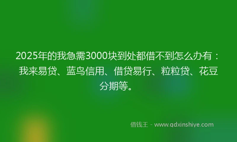 2025年的我急需3000块到处都借不到怎么办有：我来易贷、蓝鸟信用、借贷易行、粒粒贷、花豆分期等。