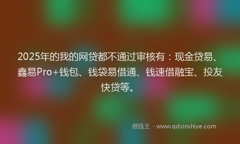 2025年的我的网贷都不通过审核有：现金贷易、鑫易Pro+钱包、钱袋易借通、钱速借融宝、投友快贷等。