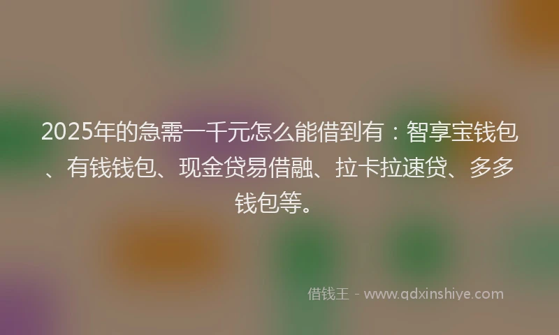 2025年的急需一千元怎么能借到有：智享宝钱包、有钱钱包、现金贷易借融、拉卡拉速贷、多多钱包等。