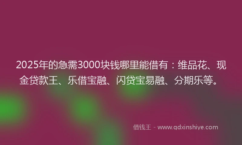2025年的急需3000块钱哪里能借有：维品花、现金贷款王、乐借宝融、闪贷宝易融、分期乐等。