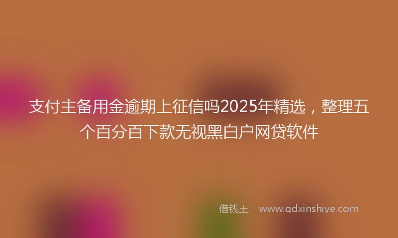 支付主备用金逾期上征信吗2025年精选，整理五个百分百下款无视黑白户网贷软件