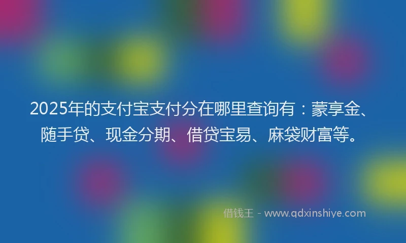2025年的支付宝支付分在哪里查询有：蒙享金、随手贷、现金分期、借贷宝易、麻袋财富等。