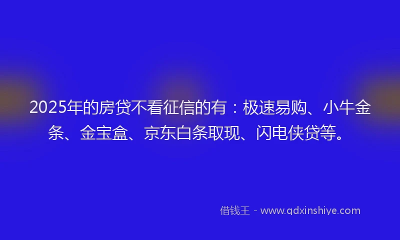 2025年的房贷不看征信的有：极速易购、小牛金条、金宝盒、京东白条取现、闪电侠贷等。