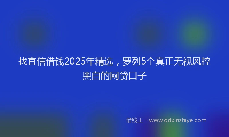 找宜信借钱2025年精选，罗列5个真正无视风控黑白的网贷口子