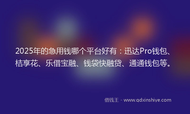 2025年的急用钱哪个平台好有：迅达Pro钱包、桔享花、乐借宝融、钱袋快融贷、通通钱包等。
