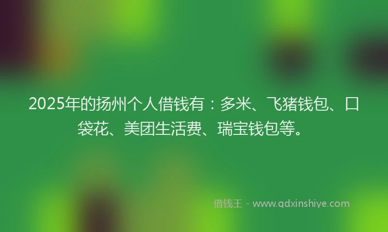 2025年的扬州个人借钱有：多米、飞猪钱包、口袋花、美团生活费、瑞宝钱包等。