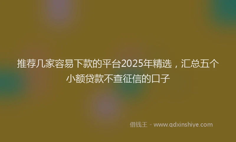 推荐几家容易下款的平台2025年精选，汇总五个小额贷款不查征信的口子