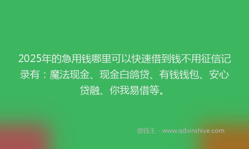 2025年的急用钱哪里可以快速借到钱不用征信记录有：魔法现金、现金白鸽贷、有钱钱包、安心贷融、你我易借等。
