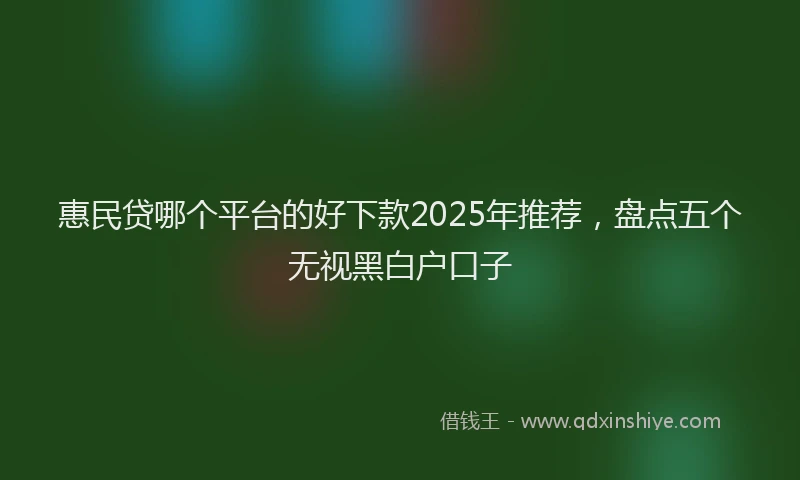 惠民贷哪个平台的好下款2025年推荐，盘点五个无视黑白户口子