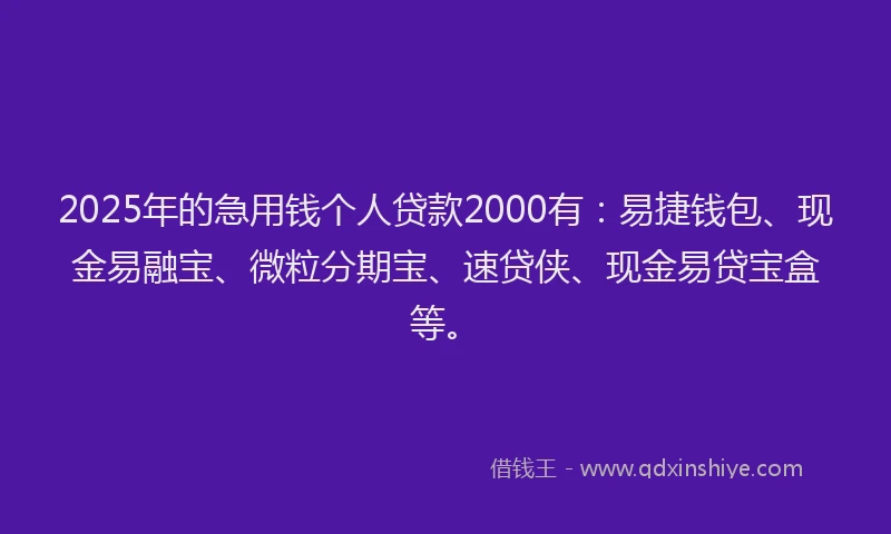 2025年的急用钱个人贷款2000有：易捷钱包、现金易融宝、微粒分期宝、速贷侠、现金易贷宝盒等。