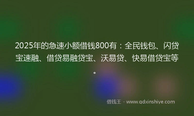 2025年的急速小额借钱800有：全民钱包、闪贷宝速融、借贷易融贷宝、沃易贷、快易借贷宝等。