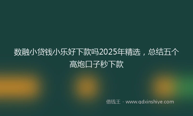 数融小贷钱小乐好下款吗2025年精选，总结五个高炮口子秒下款