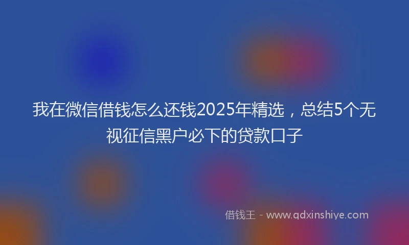 我在微信借钱怎么还钱2025年精选，总结5个无视征信黑户必下的贷款口子