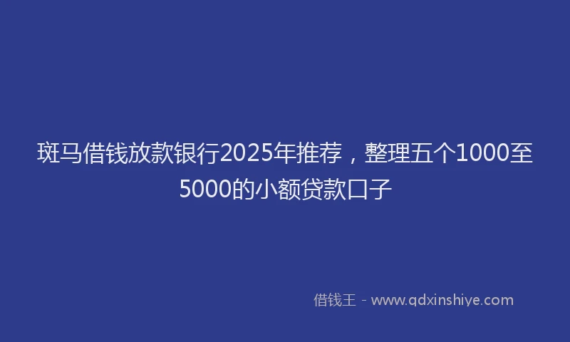 斑马借钱放款银行2025年推荐，整理五个1000至5000的小额贷款口子