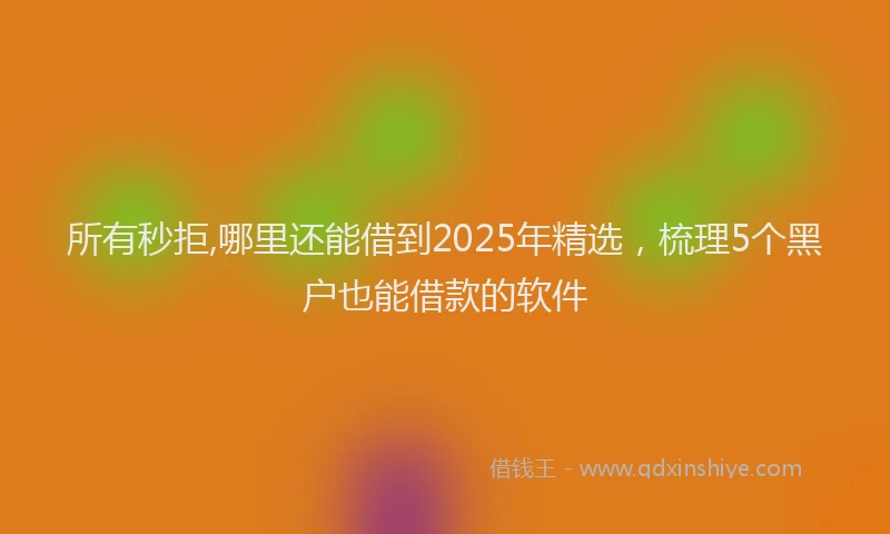 所有秒拒,哪里还能借到2025年精选，梳理5个黑户也能借款的软件