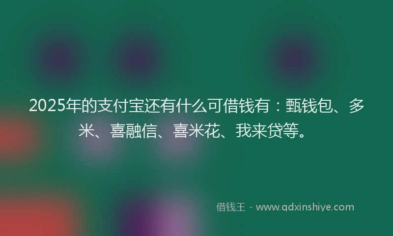 2025年的支付宝还有什么可借钱有：甄钱包、多米、喜融信、喜米花、我来贷等。