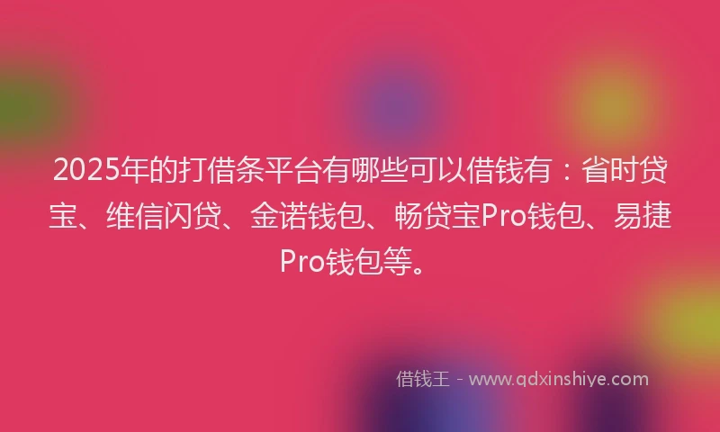 2025年的打借条平台有哪些可以借钱有：省时贷宝、维信闪贷、金诺钱包、畅贷宝Pro钱包、易捷Pro钱包等。