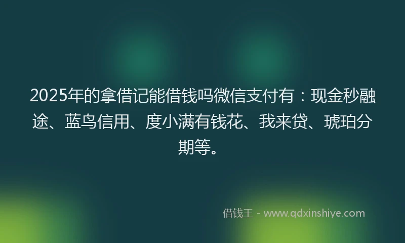 2025年的拿借记能借钱吗微信支付有：现金秒融途、蓝鸟信用、度小满有钱花、我来贷、琥珀分期等。