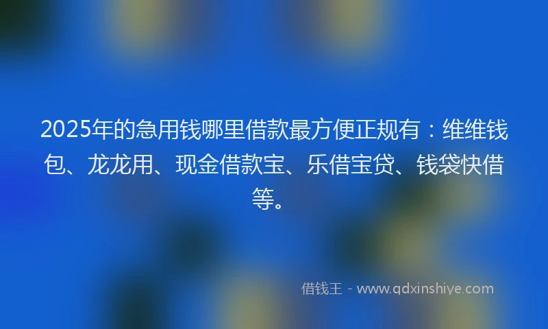 2025年的急用钱哪里借款最方便正规有：维维钱包、龙龙用、现金借款宝、乐借宝贷、钱袋快借等。