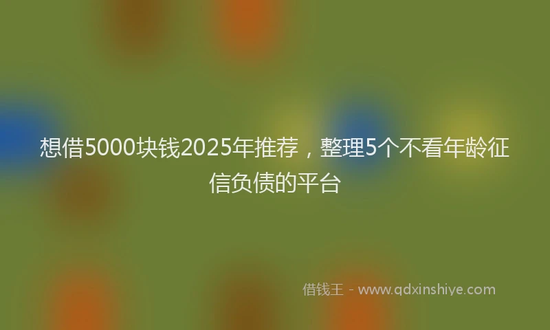 想借5000块钱2025年推荐，整理5个不看年龄征信负债的平台