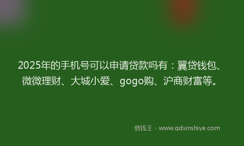 2025年的手机号可以申请贷款吗有：翼贷钱包、微微理财、大城小爱、gogo购、沪商财富等。
