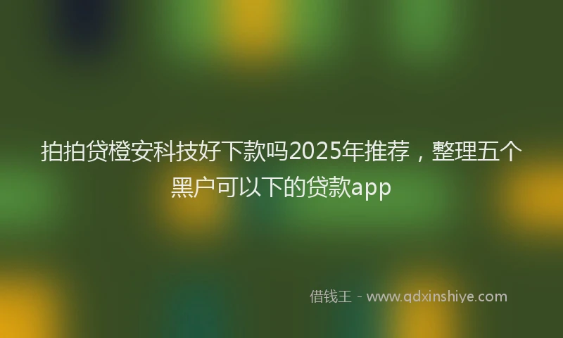 拍拍贷橙安科技好下款吗2025年推荐，整理五个黑户可以下的贷款app
