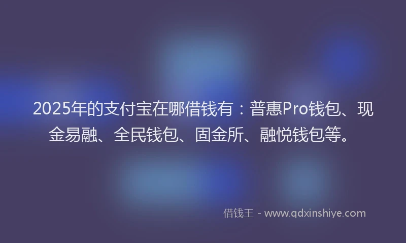 2025年的支付宝在哪借钱有：普惠Pro钱包、现金易融、全民钱包、固金所、融悦钱包等。