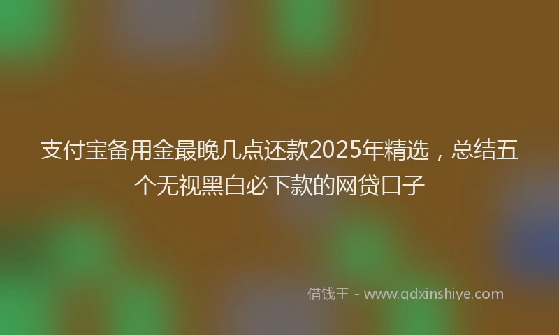 支付宝备用金最晚几点还款2025年精选，总结五个无视黑白必下款的网贷口子