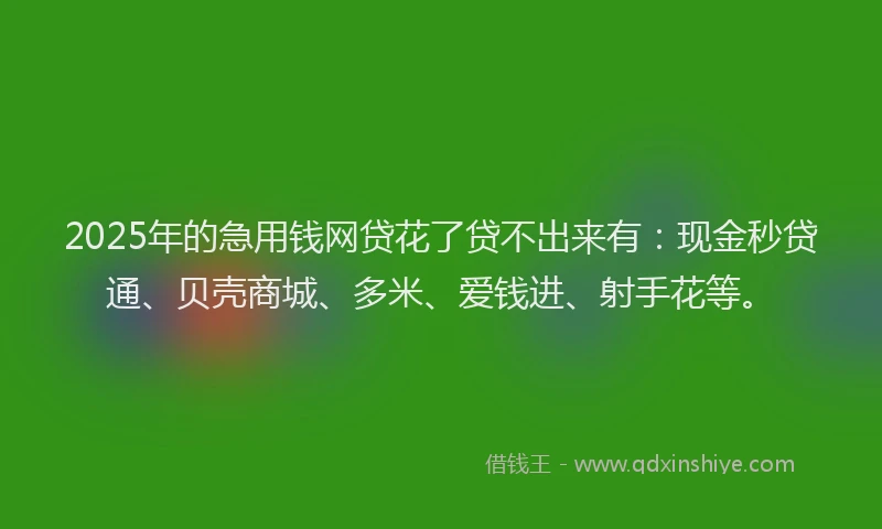 2025年的急用钱网贷花了贷不出来有：现金秒贷通、贝壳商城、多米、爱钱进、射手花等。
