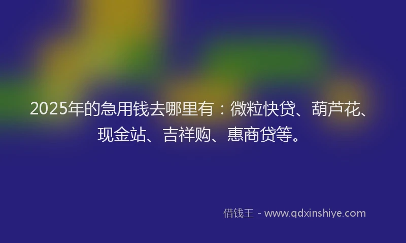 2025年的急用钱去哪里有：微粒快贷、葫芦花、现金站、吉祥购、惠商贷等。