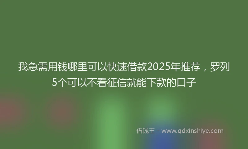 我急需用钱哪里可以快速借款2025年推荐，罗列5个可以不看征信就能下款的口子