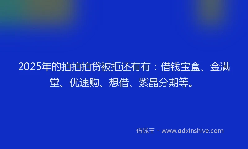 2025年的拍拍拍贷被拒还有有：借钱宝盒、金满堂、优速购、想借、紫晶分期等。