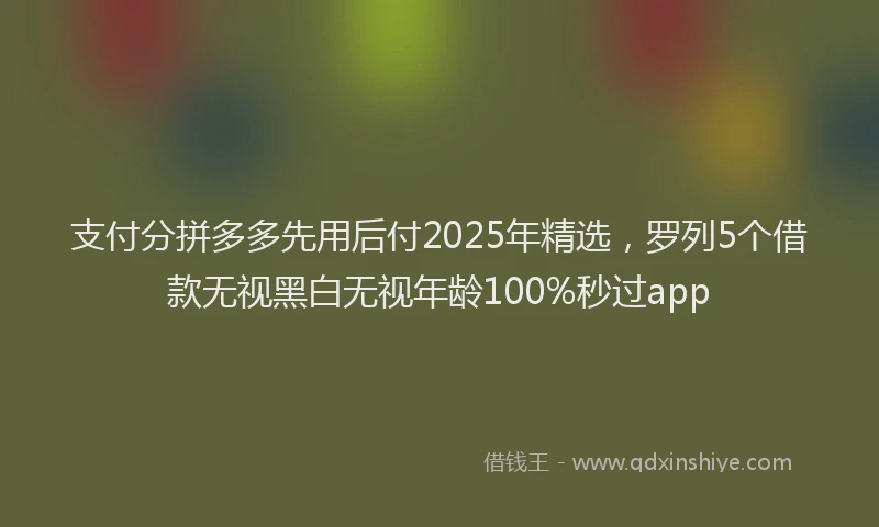 支付分拼多多先用后付2025年精选，罗列5个借款无视黑白无视年龄100%秒过app