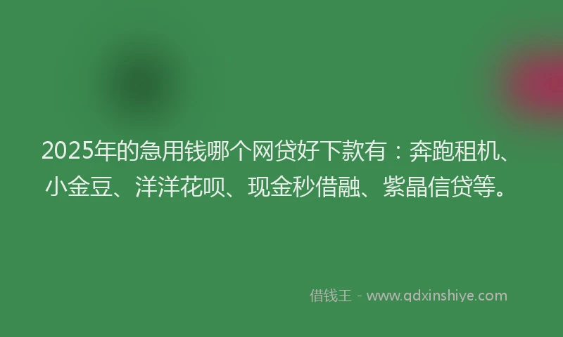 2025年的急用钱哪个网贷好下款有：奔跑租机、小金豆、洋洋花呗、现金秒借融、紫晶信贷等。