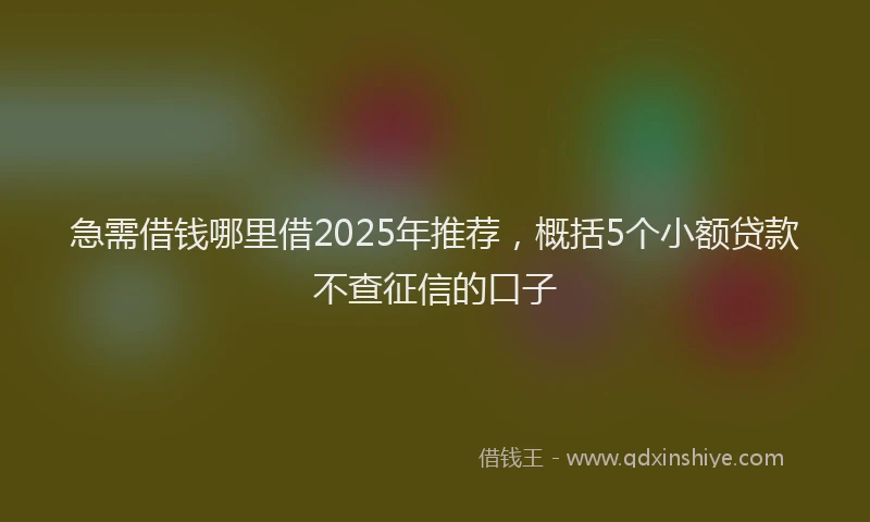 急需借钱哪里借2025年推荐，概括5个小额贷款不查征信的口子