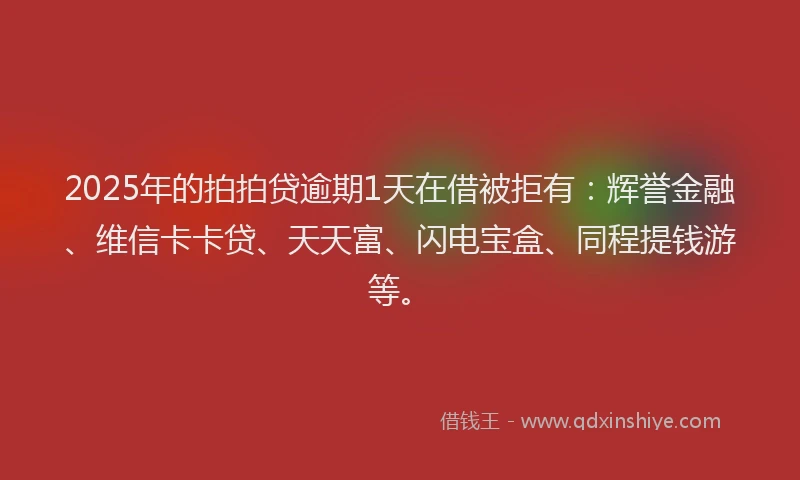 2025年的拍拍贷逾期1天在借被拒有：辉誉金融、维信卡卡贷、天天富、闪电宝盒、同程提钱游等。