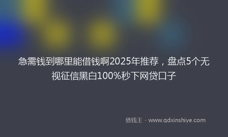 急需钱到哪里能借钱啊2025年推荐，盘点5个无视征信黑白100%秒下网贷口子