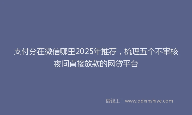 支付分在微信哪里2025年推荐，梳理五个不审核夜间直接放款的网贷平台