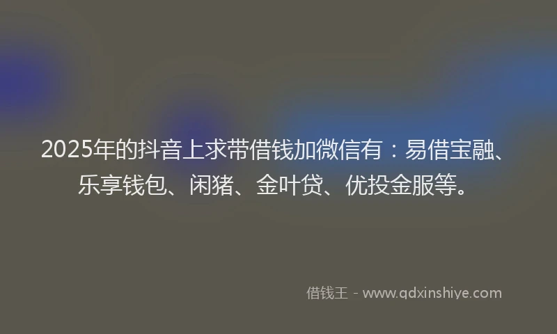 2025年的抖音上求带借钱加微信有：易借宝融、乐享钱包、闲猪、金叶贷、优投金服等。