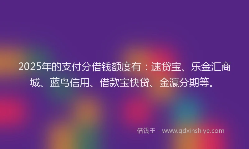 2025年的支付分借钱额度有：速贷宝、乐金汇商城、蓝鸟信用、借款宝快贷、金瀛分期等。