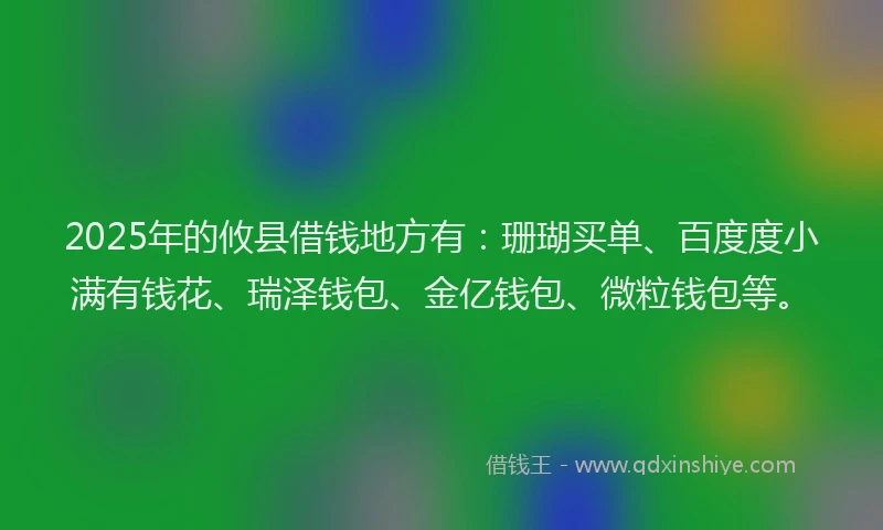 2025年的攸县借钱地方有：珊瑚买单、百度度小满有钱花、瑞泽钱包、金亿钱包、微粒钱包等。