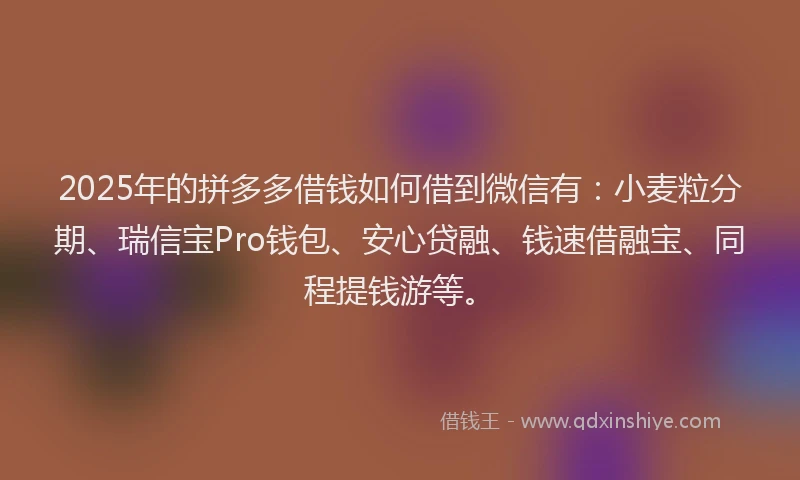 2025年的拼多多借钱如何借到微信有：小麦粒分期、瑞信宝Pro钱包、安心贷融、钱速借融宝、同程提钱游等。