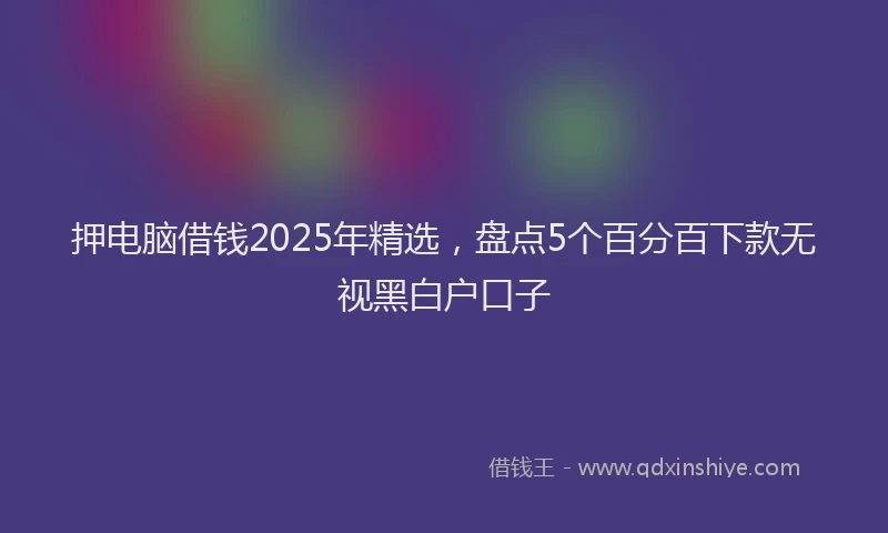 押电脑借钱2025年精选，盘点5个百分百下款无视黑白户口子