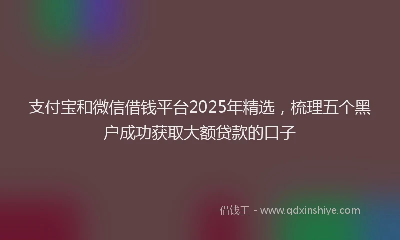 支付宝和微信借钱平台2025年精选，梳理五个黑户成功获取大额贷款的口子